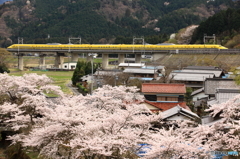 幸せ電車