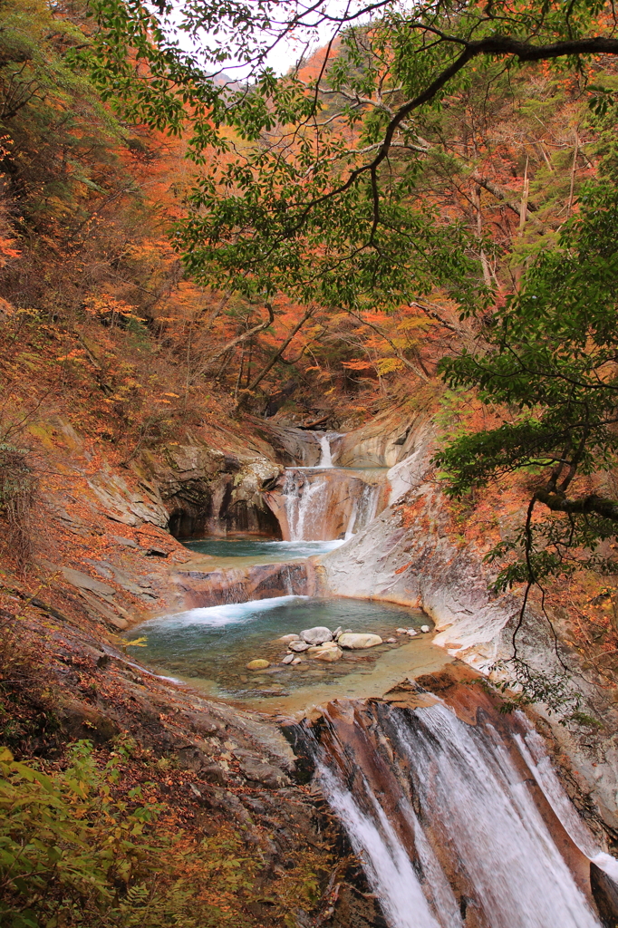 必見「紅葉の滝」