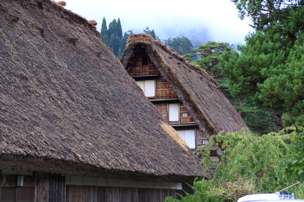 合掌造りの屋根