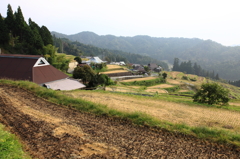 山里の秋