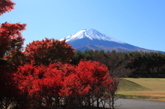 紅葉ごしの富士山