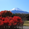 紅葉ごしの富士山