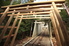 神に通じる参道