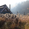 晩秋の山里