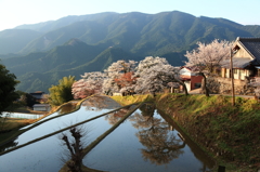 朝日に輝く「三多気の集落」