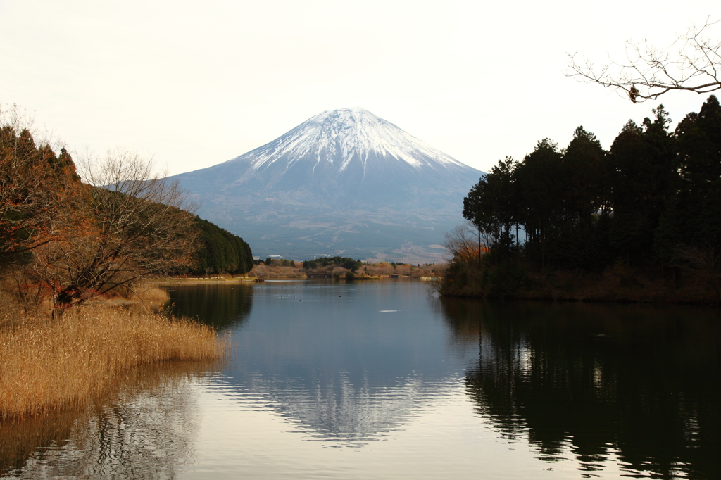 湖と富士