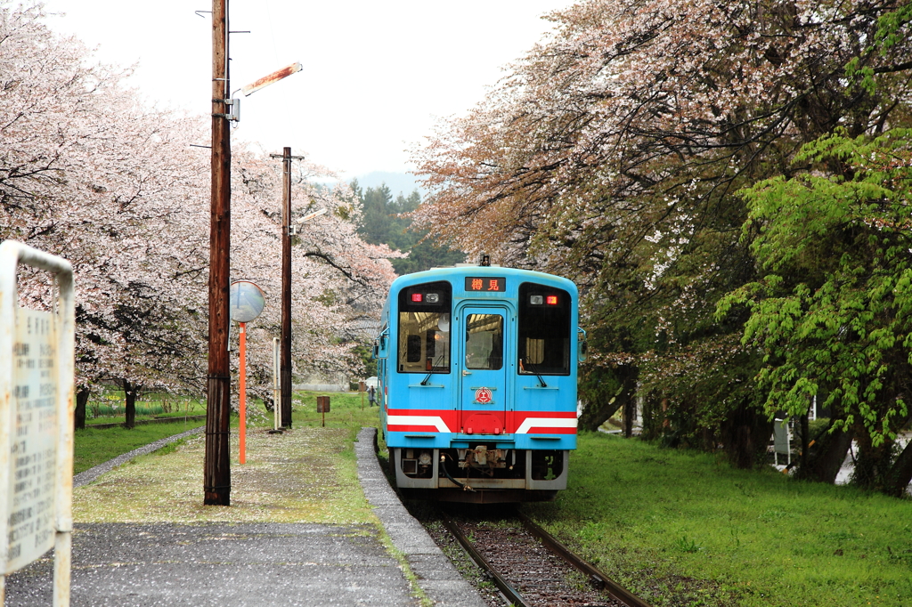 桜咲くローカル駅