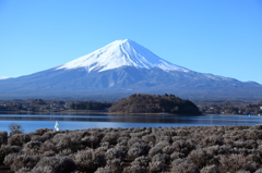 がんばれ日本⑤