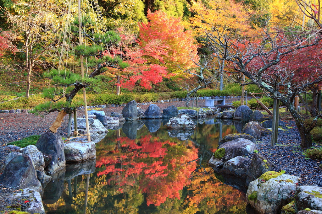 池と紅葉