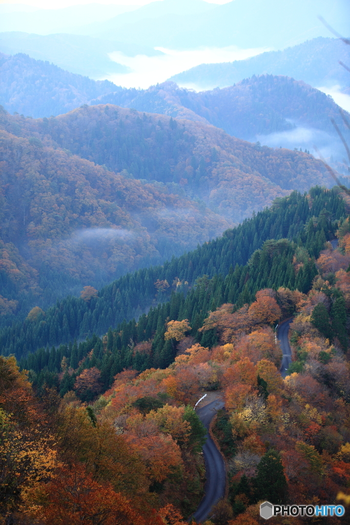 紅葉林道