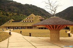 自然に溶け込む建物