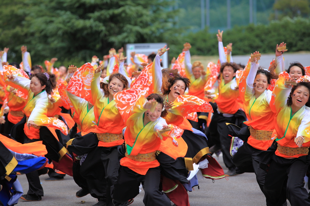 あっぱれ祭り(よさこい②)