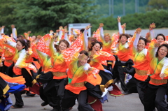 あっぱれ祭り(よさこい②)