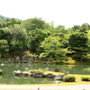 夏の庭園