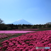 富士山麓の花園