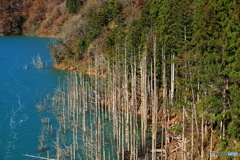 秋のダム湖