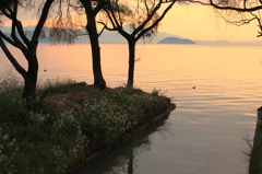 遠くは朝焼けの湖