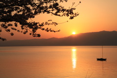 桜とびわ湖の夕焼け