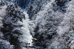 冬の谷川