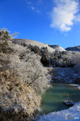 朝の雪化粧