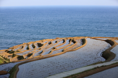 絶景「海と棚田」