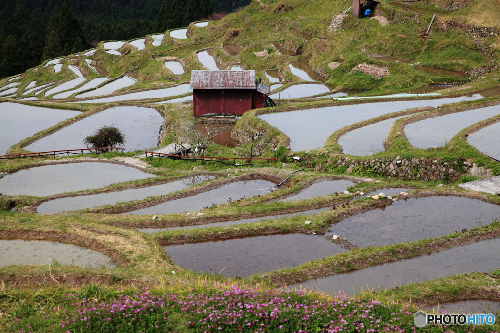 田植えを待つ棚田