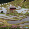 田植えを待つ棚田