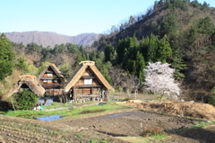 山里の遅い春
