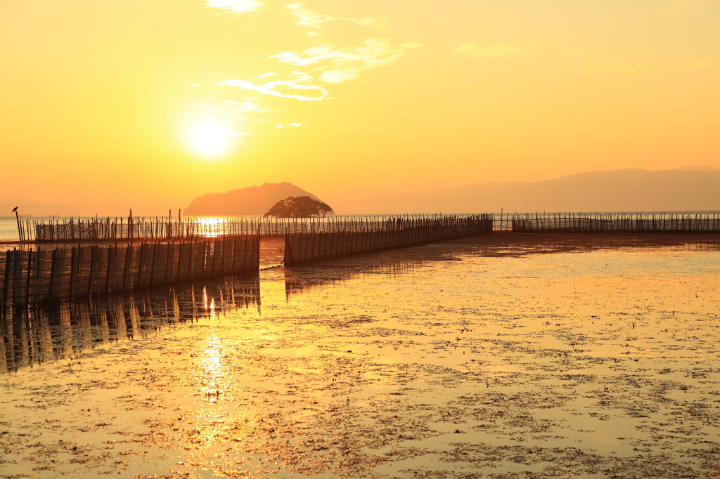 エリと夕焼け