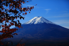 富士と紅葉