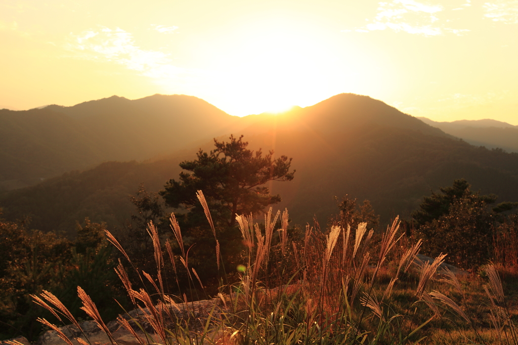 秋の夕暮れ