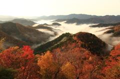 雲海と紅葉②
