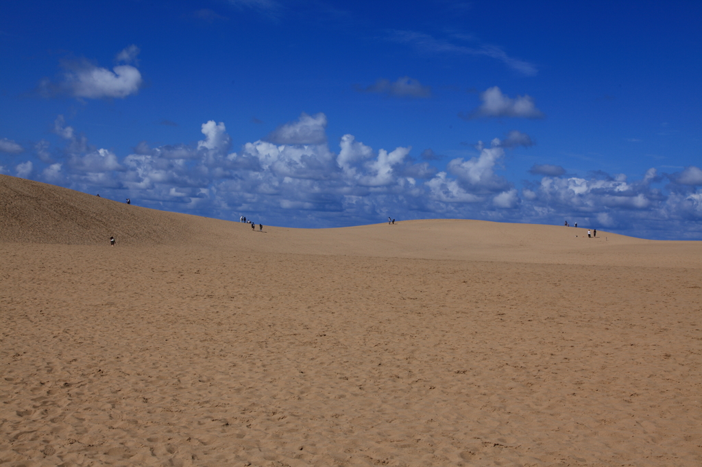 広い砂丘