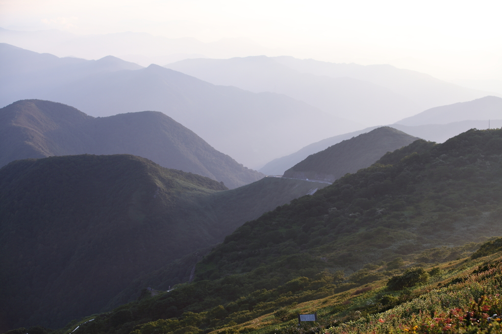 高原の朝