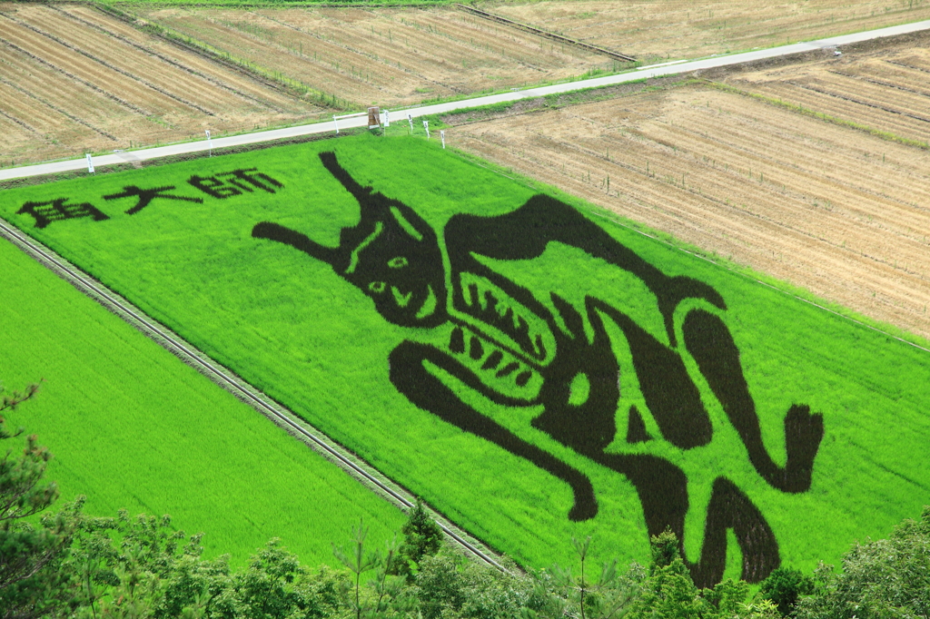 田んぼのアート