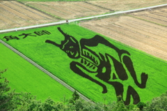 田んぼのアート