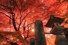 空一面赤く