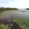 夏の終わり②