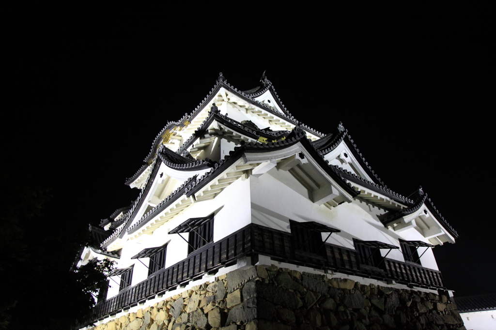 夜の城