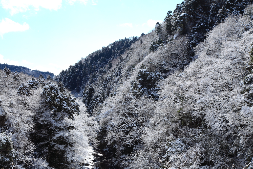 冬の谷川②