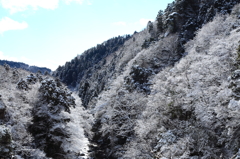 冬の谷川②