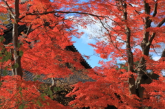 今年はどうかな？