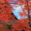今年はどうかな？