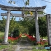 参道の秋