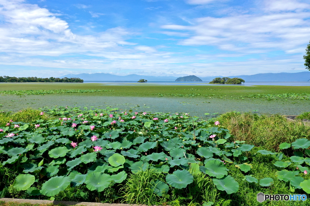 夏の湖面キャンパス