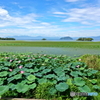 夏の湖面キャンパス