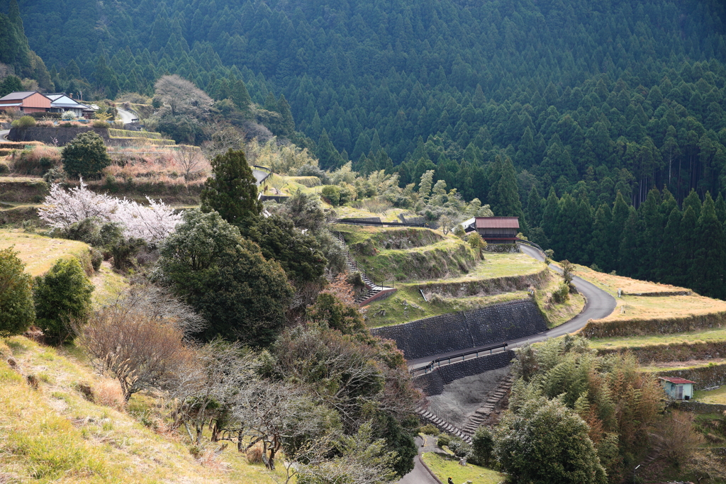山里の春