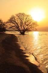 夕焼けの渚（びわ湖②）