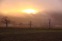 霧の朝