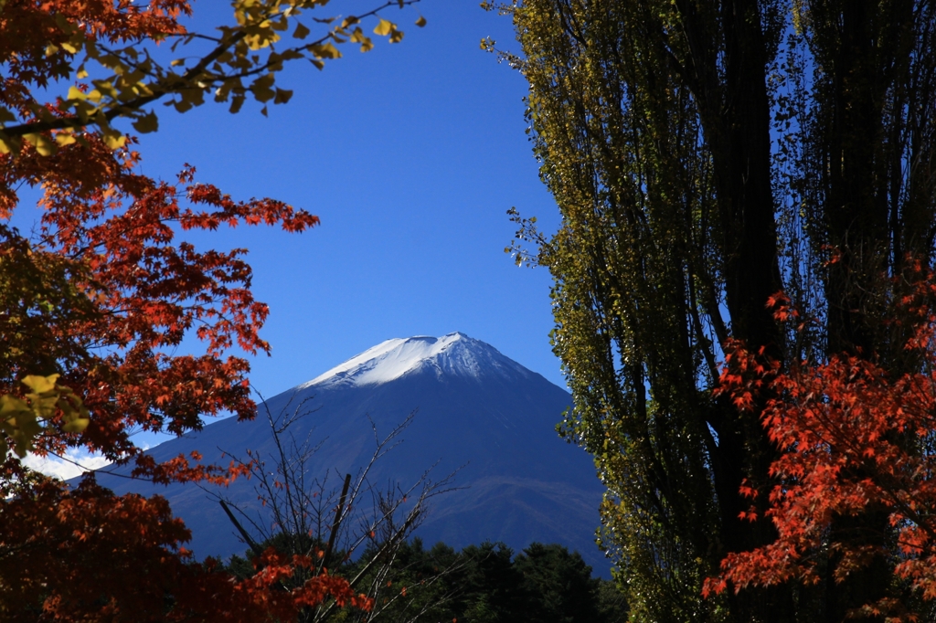 富士山と紅葉